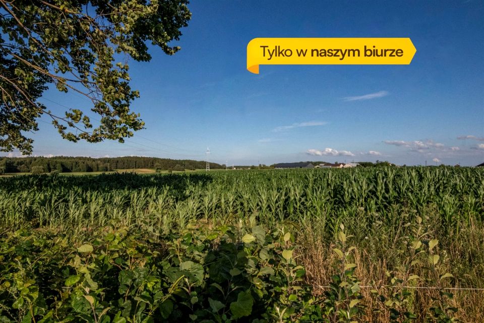 Działka Szerenosy