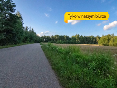 Działka Borowskie Cibory