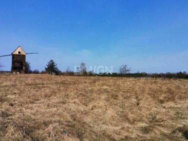 Działka Chocianowiec