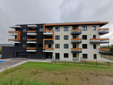 Mieszkanie Cieszyn sprzedaż