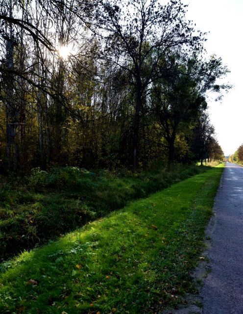 Działka Zabłudów