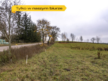 Działka Filipów