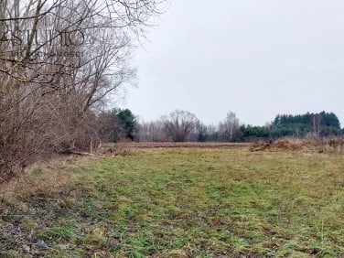 Działka Zabłudów