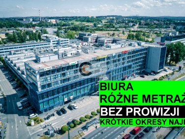 Lokal Kraków