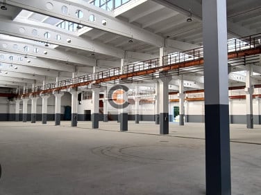 Budynek użytkowy Brzesko