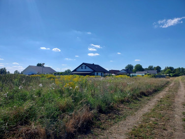 Działka budowlana Niemstów