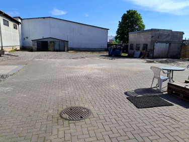 Lokal Warszawa