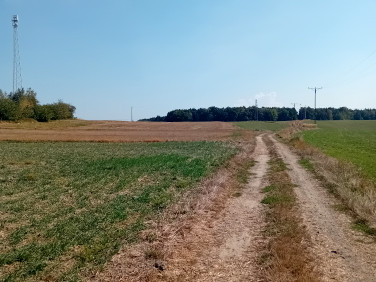 Działka rolna Sierakowice