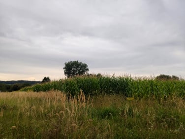 Działka budowlana Więckowice