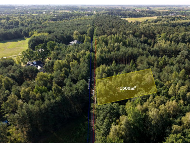 Działka przy lesie