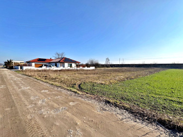 Działka Września