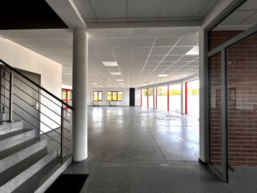 Lokal Tarnowo Podgórne