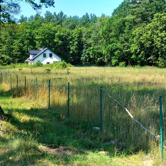 Działka budowlana Krzepocin