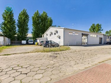 Lokal Bydgoszcz