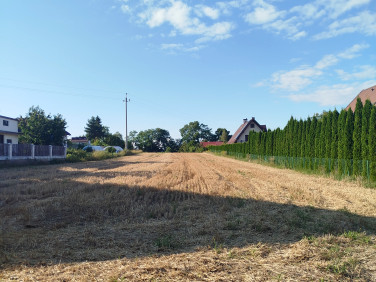 Działka Dziekanowice