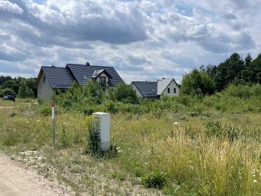 Działka Gowino