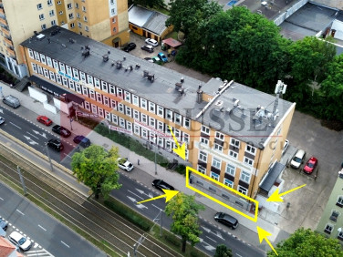Lokal Szczecin