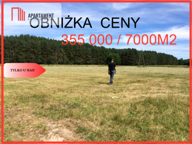 Działka rolna Brzózki