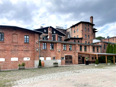 Lokal Elbląg