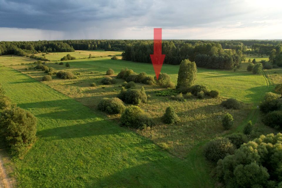 Działka rolna Olchówka