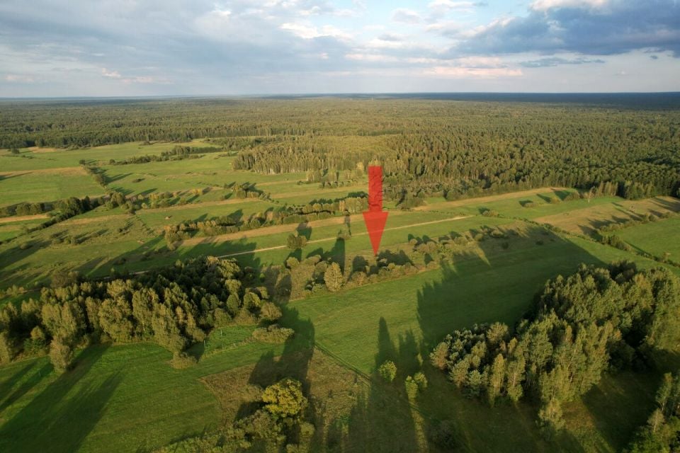 Zdjęcie 2