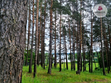 Działka rekreacyjna Narty