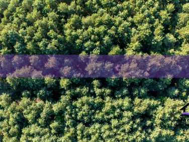 Działka leśna Suliszowice sprzedam