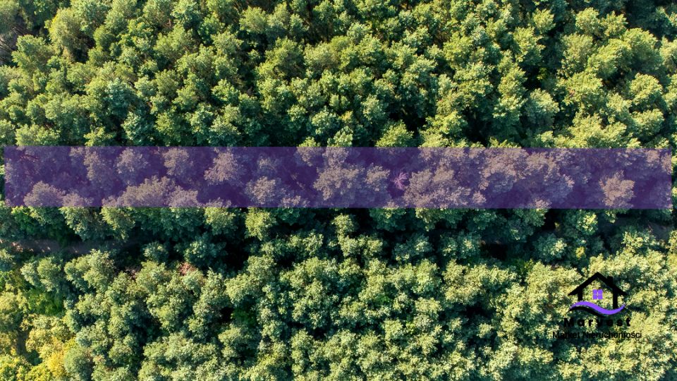 Działka leśna Suliszowice sprzedam