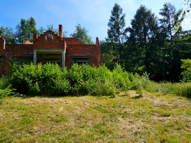 Działka budowlana Roczyny
