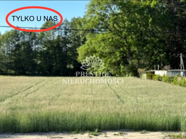 Działka budowlana Nekla