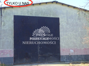 Lokal Bydgoszcz
