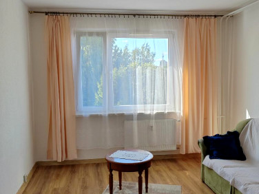 Mieszkanie Bielsko-Biała