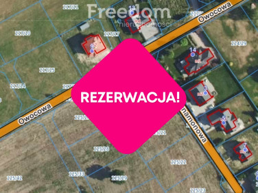 Działka Rusiec