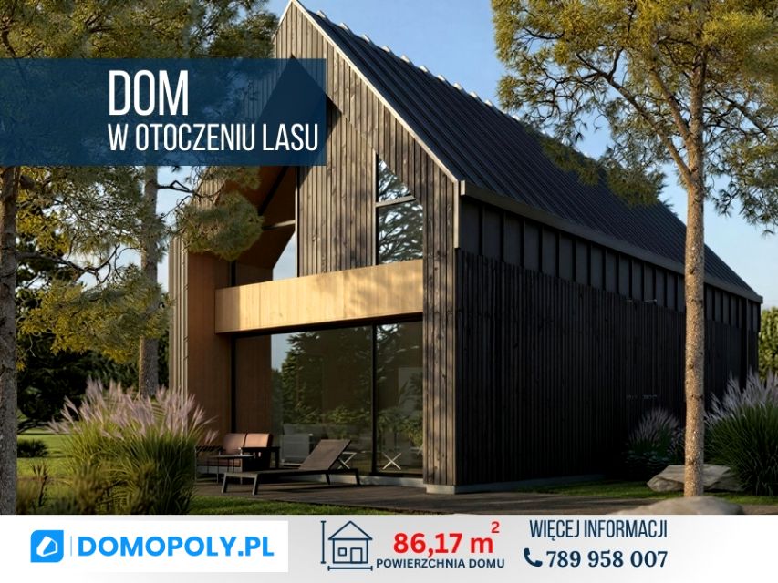 Dom Widełka