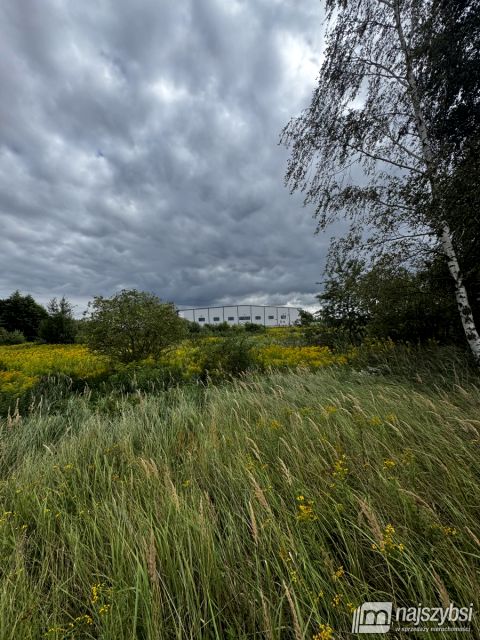 Działka usługowa Szczecin