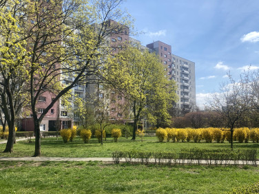 Mieszkanie Warszawa