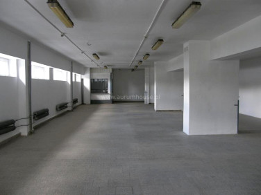Lokal Kraków