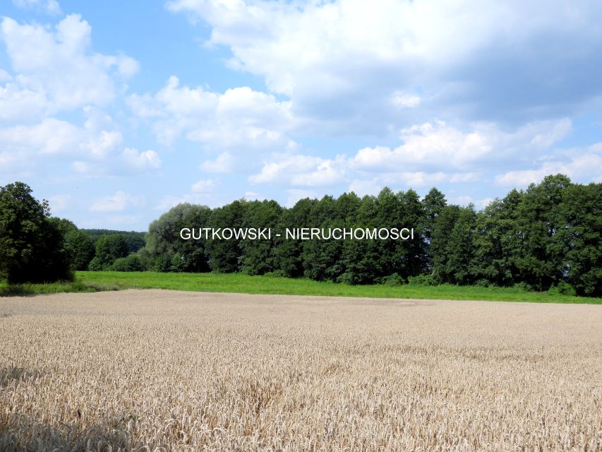 Działka rolna sprzedam
