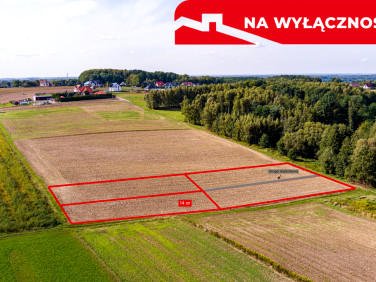 Działka budowlana Dębno