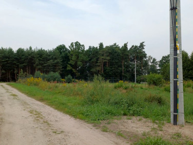 Działka Glinno