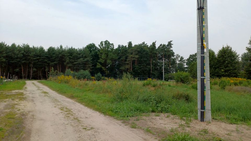 Działka Glinno