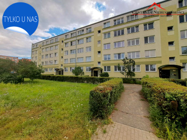 Mieszkanie Toruń wynajem