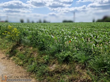 Działka budowlana Dojazdów