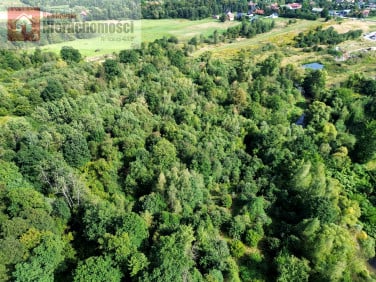 Działka leśna Wola Radziszowska