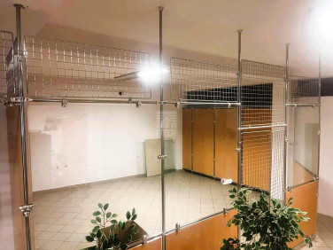 Lokal Żabno