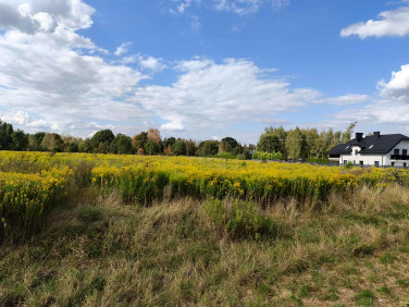 Działka budowlana Łuków