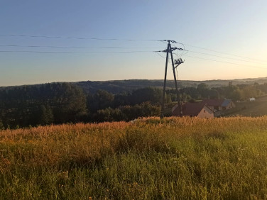 Działka rolna Bachórzec