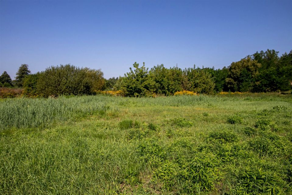 Działka usługowa Bydgoszcz