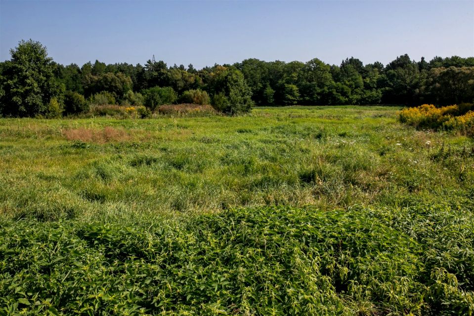 Działka usługowa Bydgoszcz