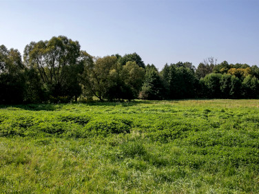 Działka usługowa Bydgoszcz